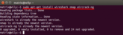 how to remove wireshark ubuntu