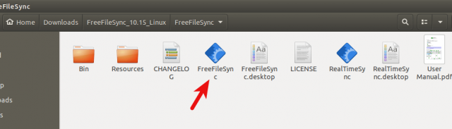 instal FreeFileSync 12.5
