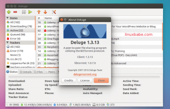 Deluge настройка в linux