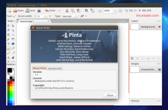 Ubuntu pinta как установить