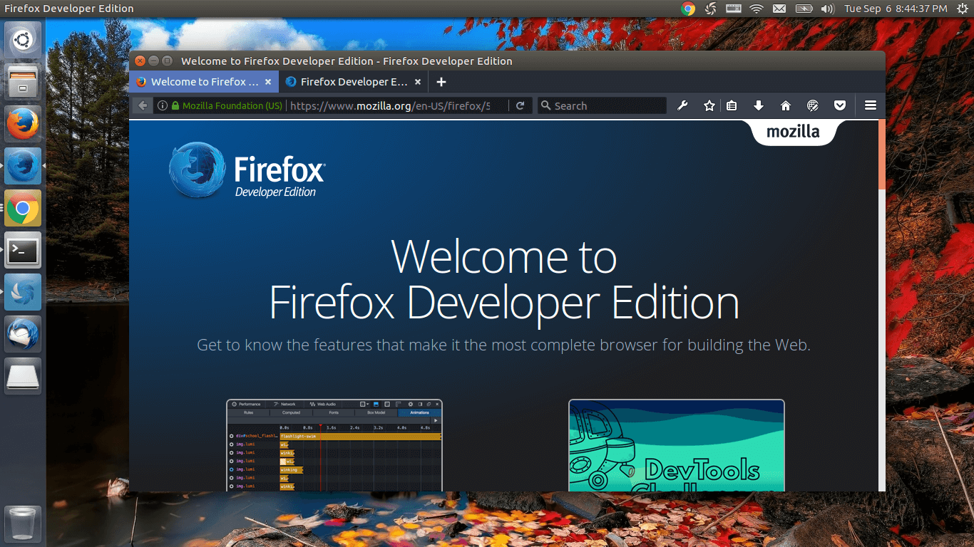 firefox developer edition update