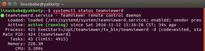 teamviewer linux daemon start