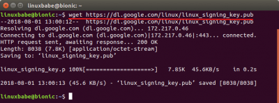 install chrome ubuntu command line