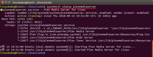 how to update plex media server on ubuntu