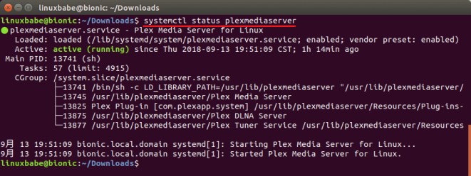 ubuntu plex media server status
