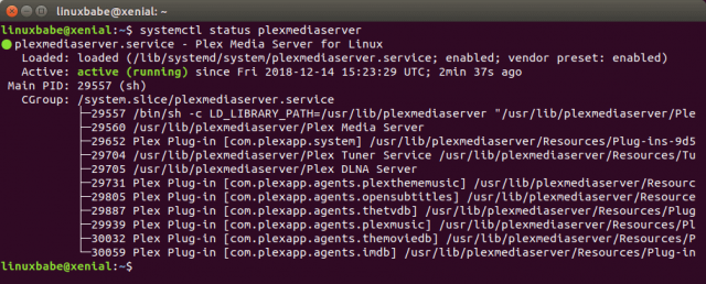 plex media server update ubuntu server