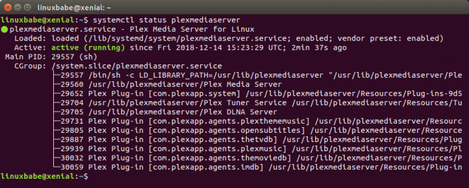install plex media server ubuntu cli