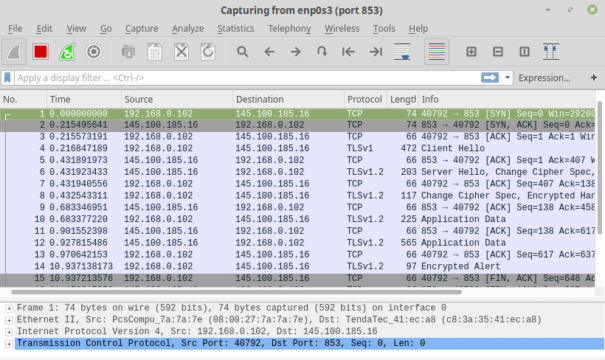 wireshark capture filter domain query